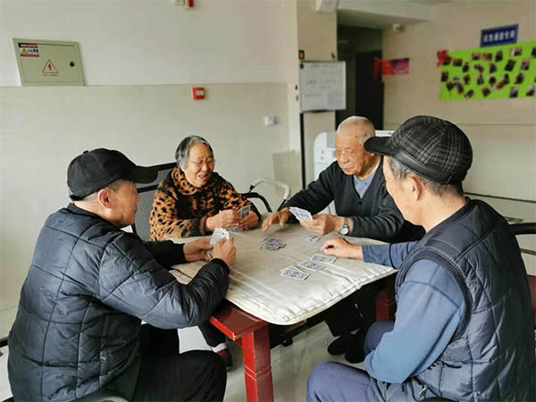 文化娱乐服务